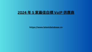 2024 年 5 家最佳白標 VoIP 供應商